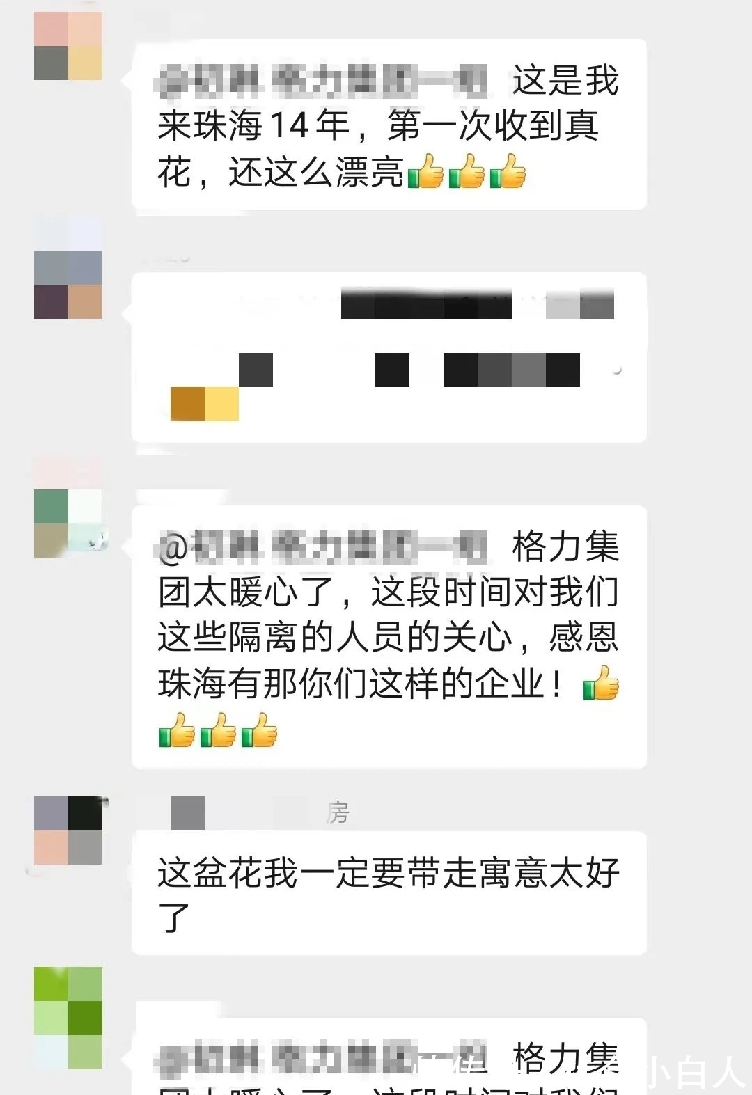 为你“花”心思!900多盆兰花,送上最美好的祝愿……