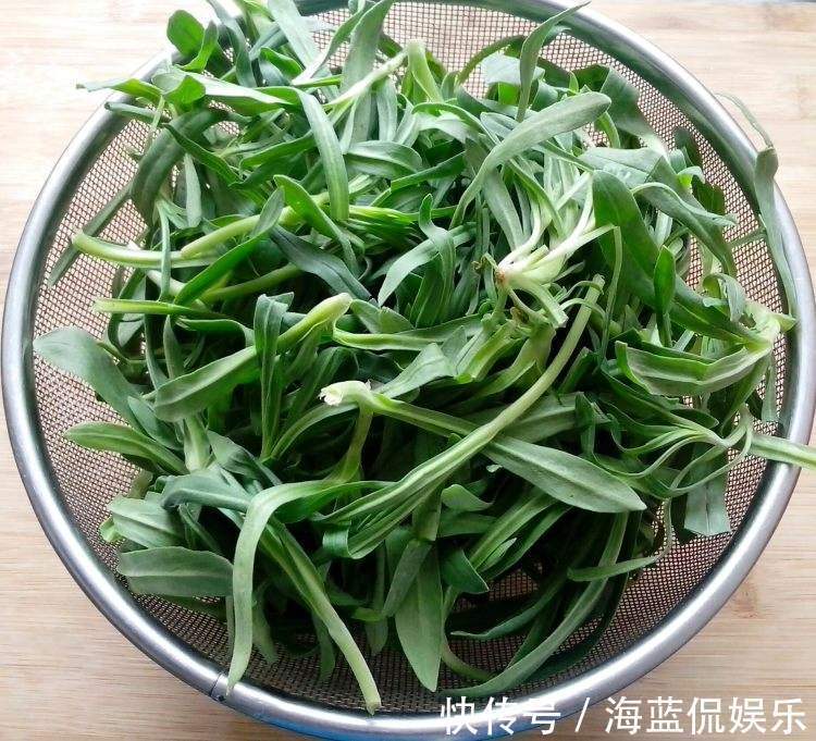 披针形|一种野草,酷似“面条”,价值比较大,可以煮面条吃,止血是一绝