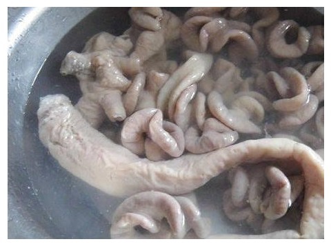 猪大肠要怎样煮才不“浓缩”只要掌握这5条秘籍,既不硬又入味