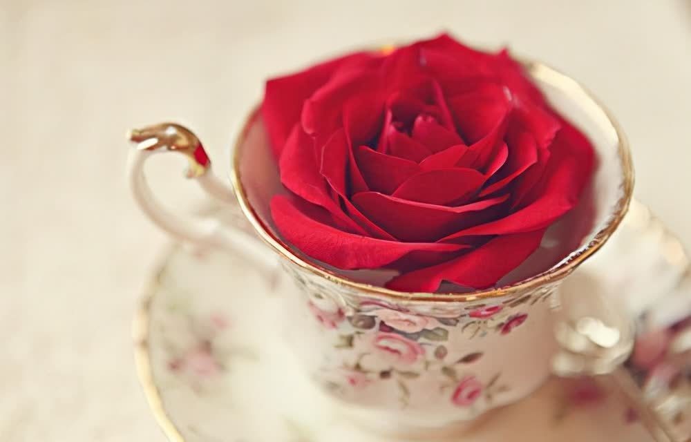 周国平&写给渐渐老去的中年人:余生最好的活法,不过只有三句话