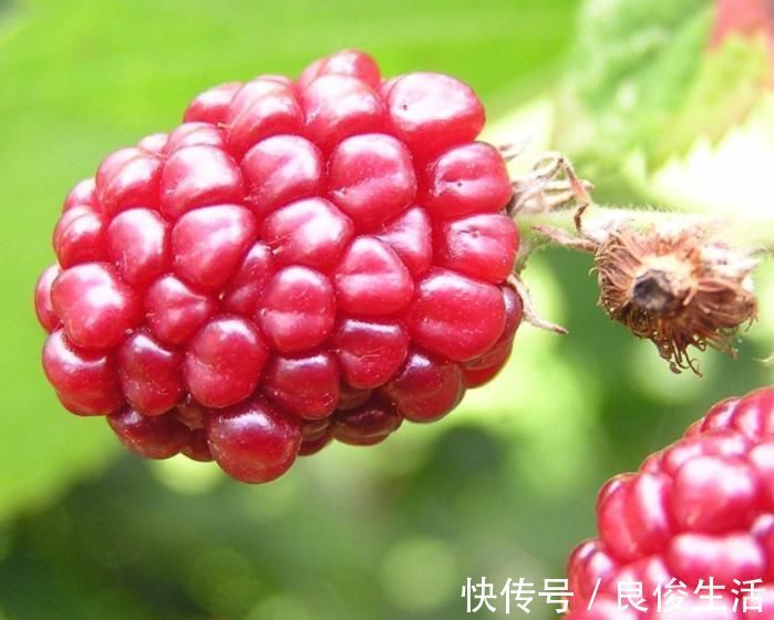 维生素c|皱纹最怕的4种食物,女人每天吃一点,皮肤紧致更显年轻态