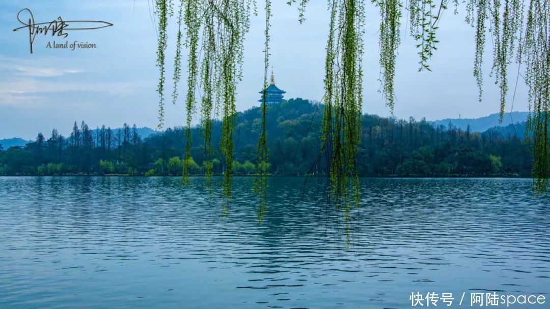 闲游雨后清晨的苏堤，感受“春眠不觉晓”的诗情画意