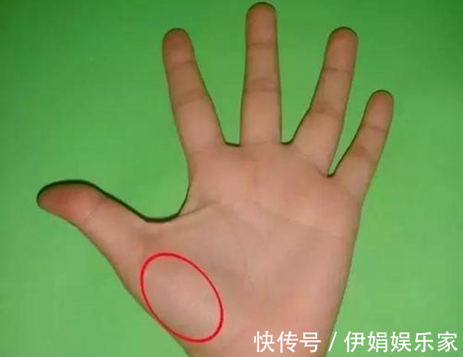 肺经|手上的这块肉,是健康的“报警器”,一看就知身体好坏,很灵的