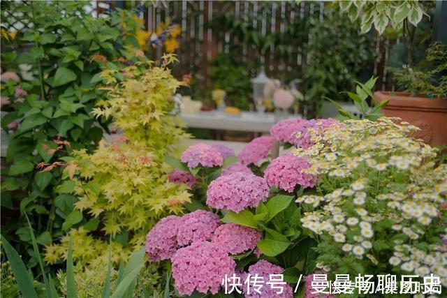 绿色植物|6招圆你中式庭院梦,有院子一定要做成中式风格,充满意境之美