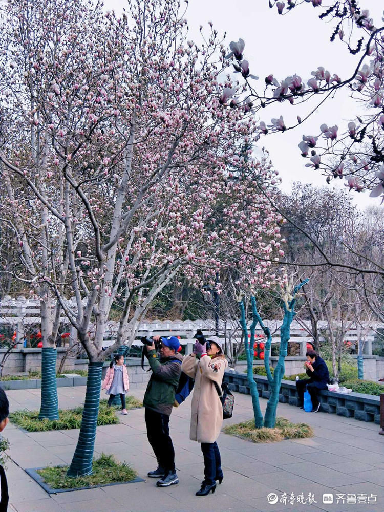 打卡济南趵突泉公园啦！感受节日里春的味道|就地过年?春在身边| 打卡济南趵突泉公园啦！感受节日里春的味道\＂,\＂i16\＂:\＂就地过年?春在身边