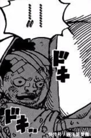 凯多|海贼王:如何看待凯多女儿“大和”的出现?有没有违和感?