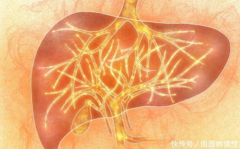  蒲公英|坚持喝蒲公英泡的水，30天左右，身体或许会“收获”3个喜事