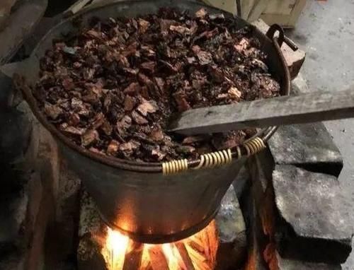 丝瓜络丝瓜络|养花烂根不是大问题!土里埋点它,根须刷刷长满盆,越来越壮实