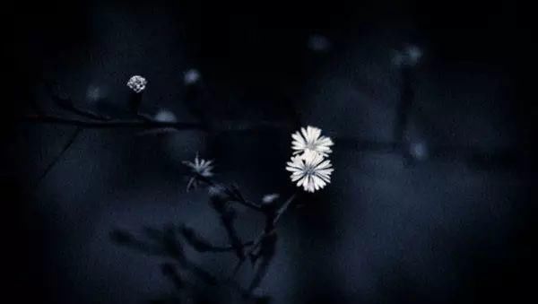  王阳明|王阳明：提高心性，做最好的自己