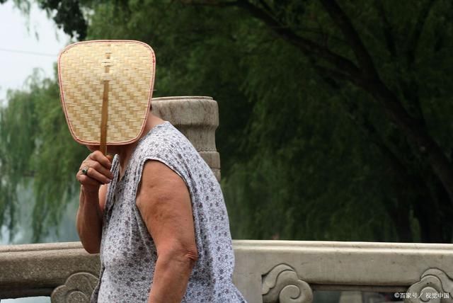 夜灯|夏夜诗21首:夜灯已亮万家明，常见塘边二友卿