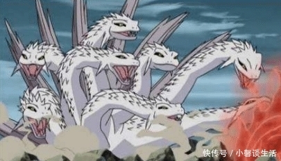 李时珍|当年楚国的图腾神鸟,最终堕落为西游记里的多头怪物,可惜!可叹!