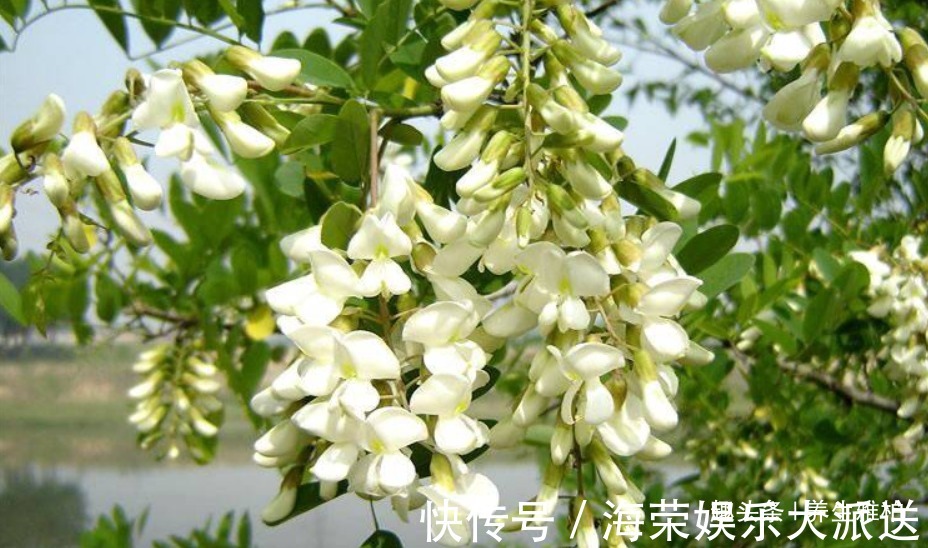 排除|女性不愿肚子鼓鼓,常吃4种食物,排除身体垃圾毒素,皮肤状态好