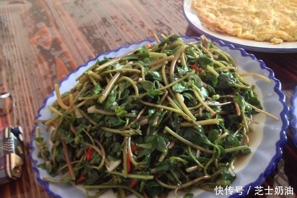 农村常见的一种野菜,能杀菌消炎、抗癌、降血压