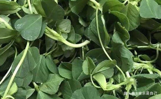 滋阴补阴|女人想皮肤好,4种食物要多吃,滋阴补阴,祛皱淡斑,增强免疫力