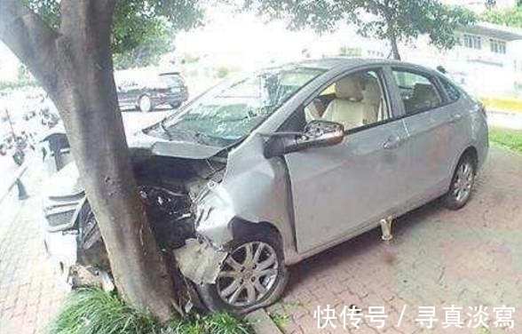 |搞笑图片幽默段子笑话：狗狗你头上还长花了啊，看上去很美哦