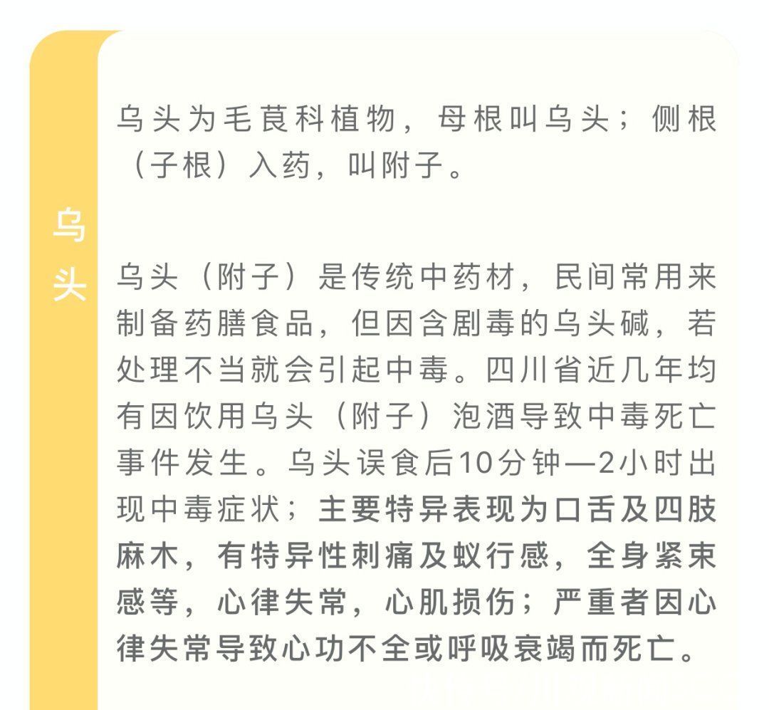 野菜|四川人注意！夏季这些常见的植物有毒