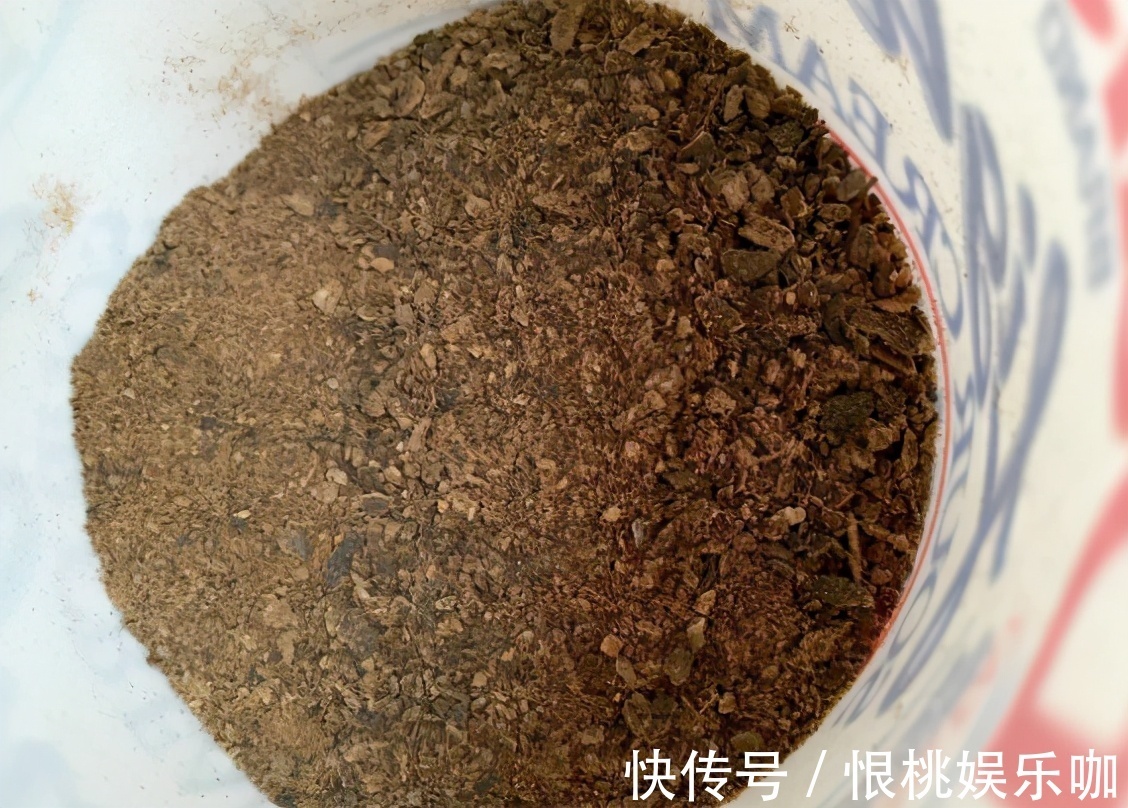 告诉大家一个秘密：香蕉皮养花，有很多大众不知道的用法哦！