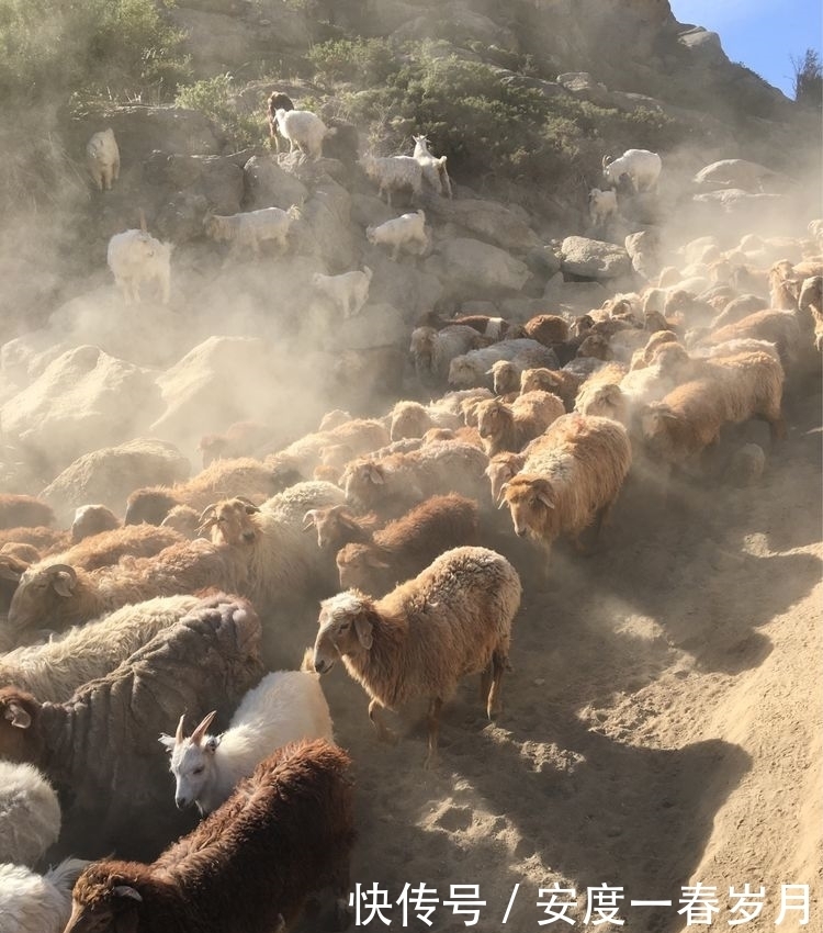 哈萨克|草原上的生命大迁徙哈萨克转场