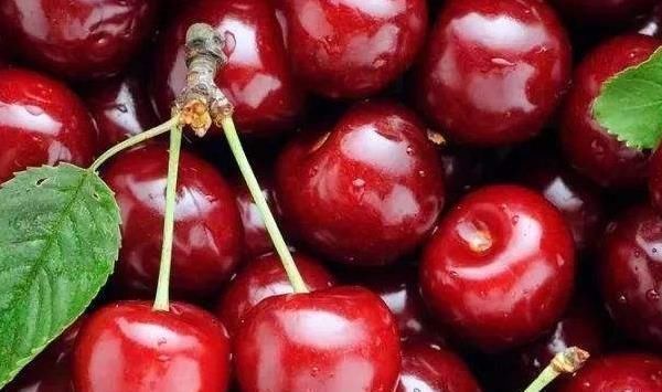 常吃|女人对自己要舍得,早晚常吃4物,不仅健脾养胃,皮肤也越来越好