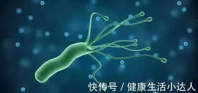 抗生素|腹胀、嗳气、还有口臭?被胃病反复折磨,可能都是它惹的祸