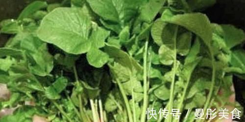 萝卜缨|此菜是我们身边的“补钙之王”，小孩每天吃一盘，个头猛长！