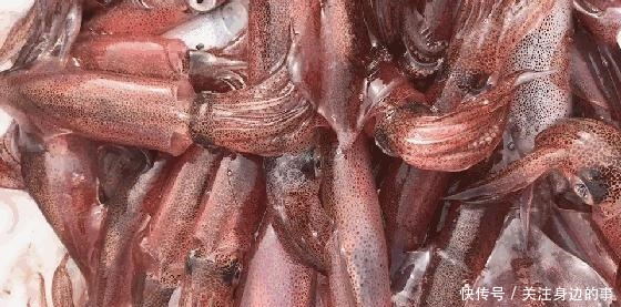 东山海鲜界的第一网红小管,究竟有多好吃!