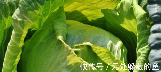 农村腌菜的老方法，一次腌10斤都不够吃，酸甜脆爽比辣椒开胃！