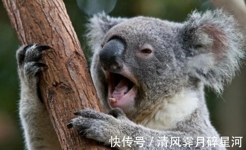 生活中的冷知识,增加奇怪的知识,一起来变得博学吧