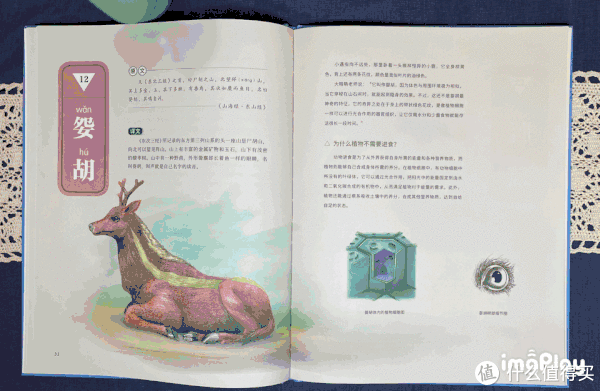 王羲之$成长的书柜 篇三十二:【双11童书值得买】精选10本/套小学生课外书单(拒绝云评)