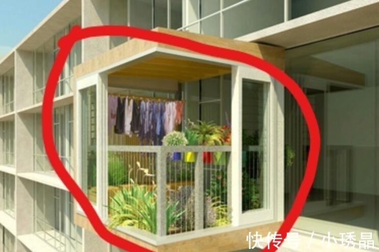 阳台|杭州发现一户人家阳台,果然聪明人,大开眼界!拍照大家来看看
