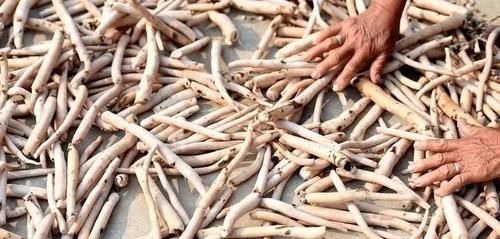 调养|此物被誉为“养肝之圣药”,护肝补肝、敛阴养血,来认识一下