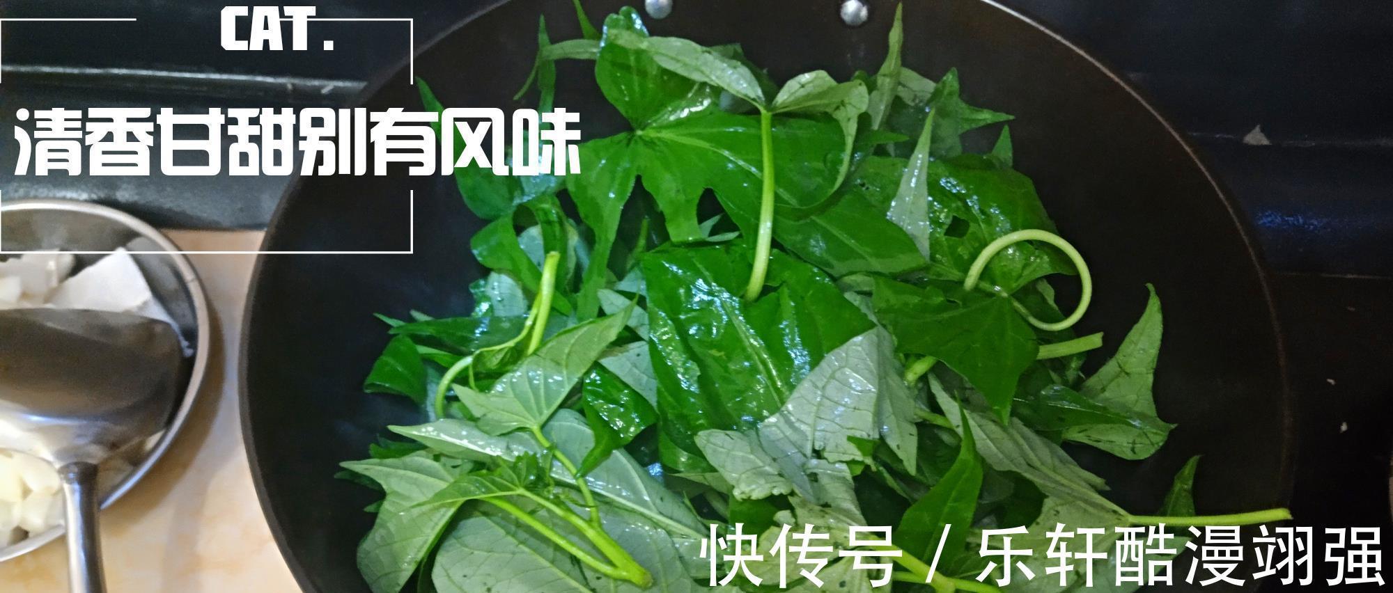 红薯叶|红薯叶这样做太好吃了,营养不流失,给肉也不换