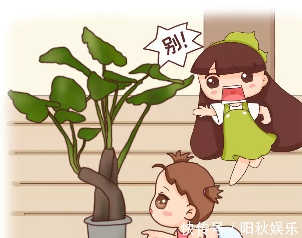 月季花|5种花卉“别乱养”，香气“有毒”，放在卧室并不好，别疏忽！