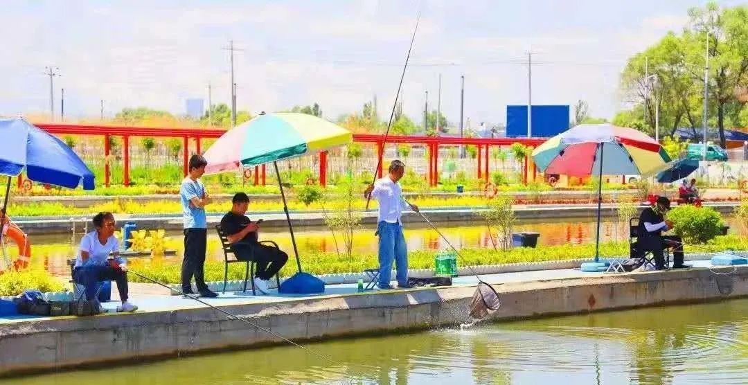 折桥镇|来了就不想走！临夏秋天的第一波“村游”安排