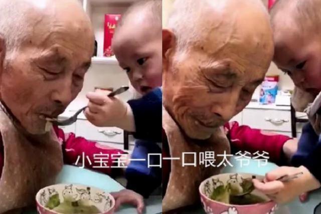 家长|“最孝顺宝宝”火了，爬上桌子给90岁太爷爷喂饭，网友：看哭了