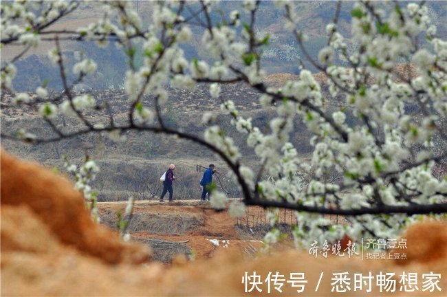 芳华|拥抱今天，不负芳华！你，就是这春光中最好的风景