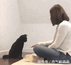 |搞笑GIF趣图公司里一个未婚女同事,天天蹭我车上下班