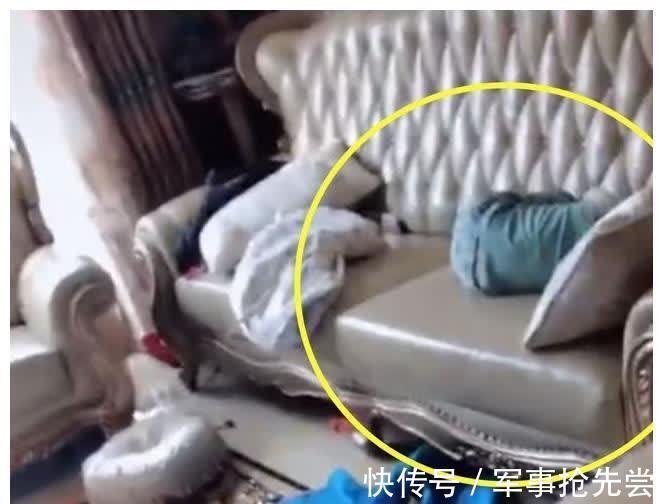 活到老学到老|妈妈将2胎哄睡后到客厅看大宝,竟看到如此画面,泪目