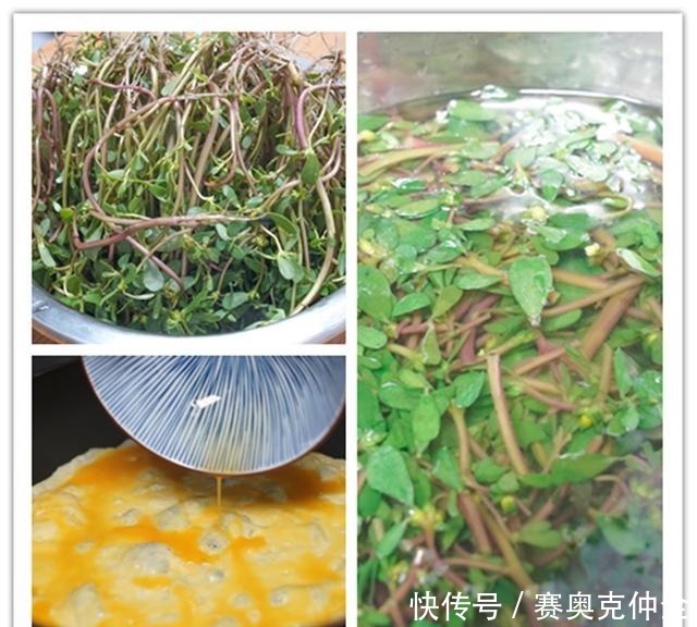 6道凉拌菜，最适合春天吃，简单一拌，10分钟上桌，开胃又解腻