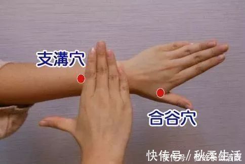 生白芍|脾好人长寿1粥1穴,健脾胃、养脾阴、祛胃火,帮你滋养长寿根本