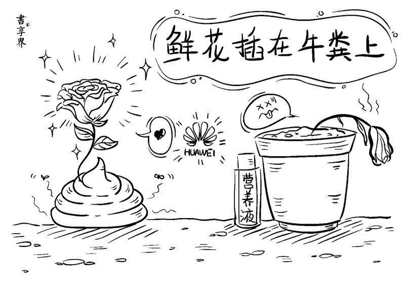 牛粪|华为管理漫谈：让鲜花插在牛粪上