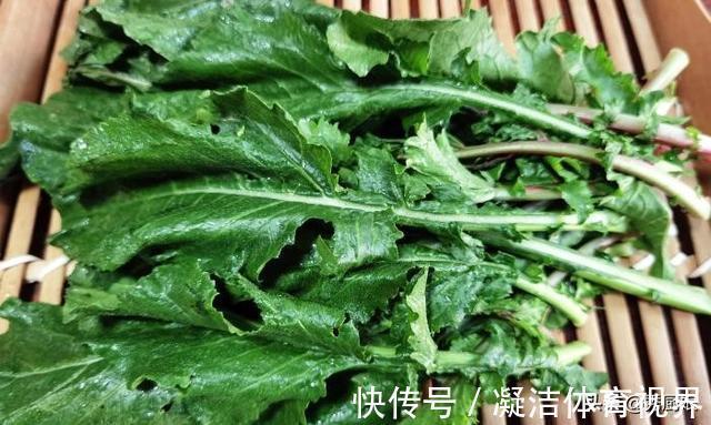 宝贝|很多人只吃果肉,其实叶子才是宝贝,多捡些回家,一晒一烀,真香