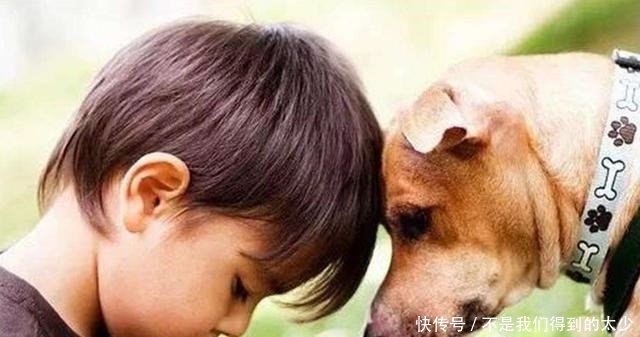 坏习惯|哈佛大学经75年得出结论:孩子越来越笨,大都因为5种坏习惯