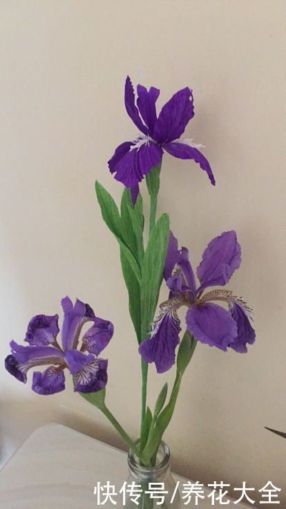 院子里撒一把种子，只需种一年，以后年年开花