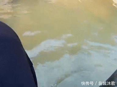 和朋友深山钓鱼,意外钓上“奇鱼”,鱼鳞大,颜色也特别,什么鱼