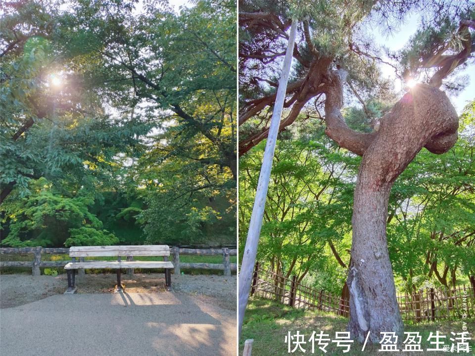 青森|日本青森夏日祭--神秘而热闹的睡魔祭