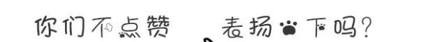 韩信|韩信用兵如神,为何项羽看不上他项羽冤枉啊