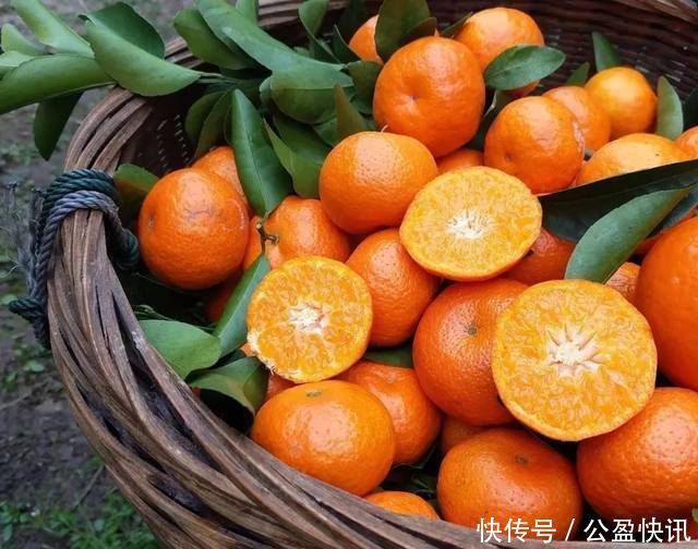 沙糖桔香甜可口,碰上这两种别买,现在知道还不晚,记得告诉家人