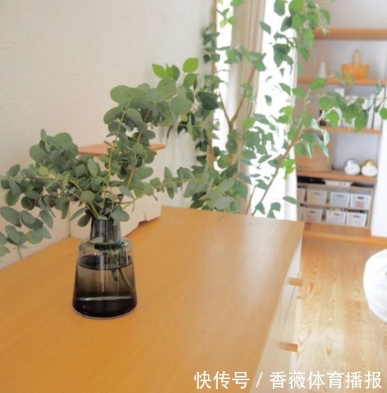 太太|不懂收纳没关系,照着日本主妇做,家里不再脏乱差,日子干净清爽