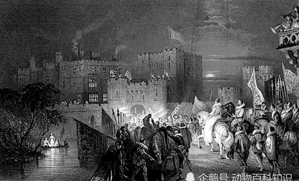 约翰三世|三王之战,葡萄牙为什么输得这么彻底,只回来100多人